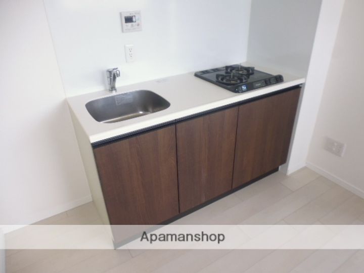 神奈川県藤沢市藤沢の賃貸マンションのキッチン