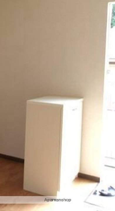 ヒルサイドⅡの玄関