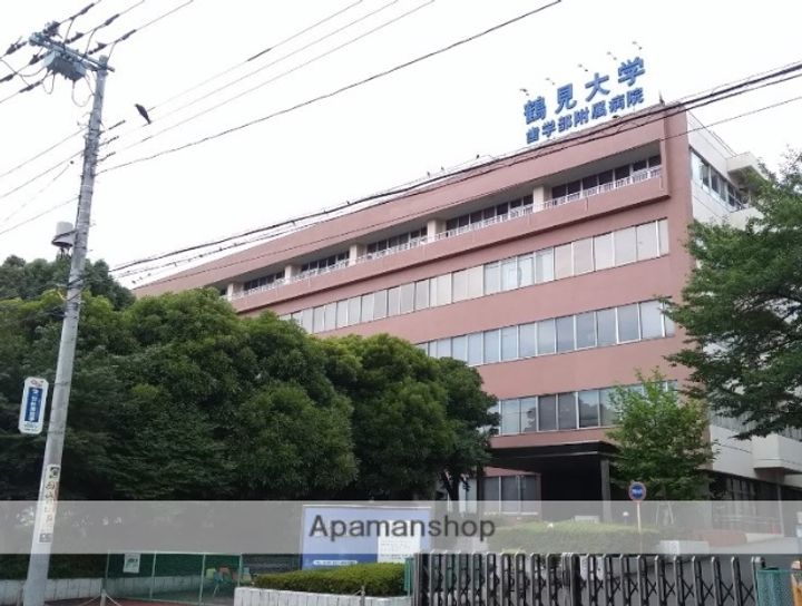 神奈川県横浜市鶴見区寺谷1丁目の賃貸マンションの周辺