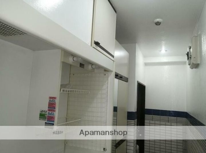 神奈川県横浜市保土ケ谷区岩井町の賃貸マンションの内装