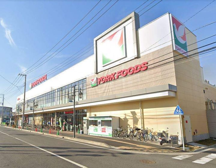 レオネクストフォレスタ 湘南の周辺