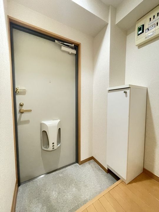 神奈川県川崎市幸区南幸町2丁目の賃貸マンションの玄関