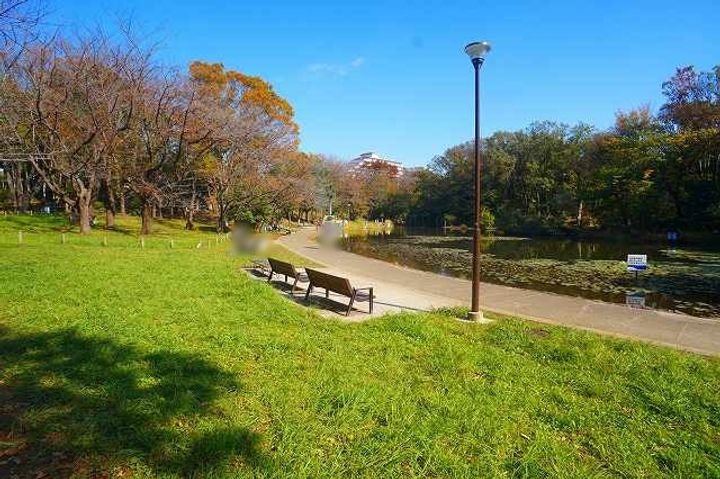 クレイノひまわりCの周辺