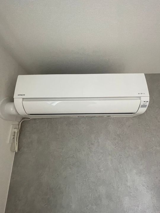 ミント杉田のその他画像