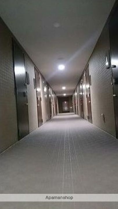 神奈川県川崎市川崎区南町の賃貸マンションの内装