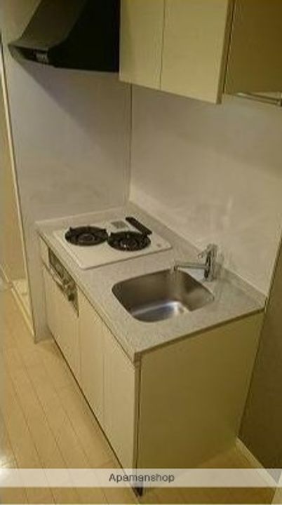 神奈川県川崎市川崎区南町の賃貸マンションのキッチン
