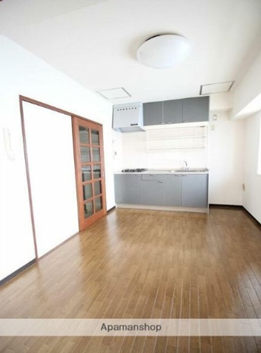 神奈川県厚木市旭町2丁目の賃貸マンションの内装