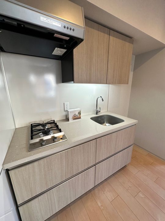 ザ・パークハビオSOHO横浜関内のキッチン