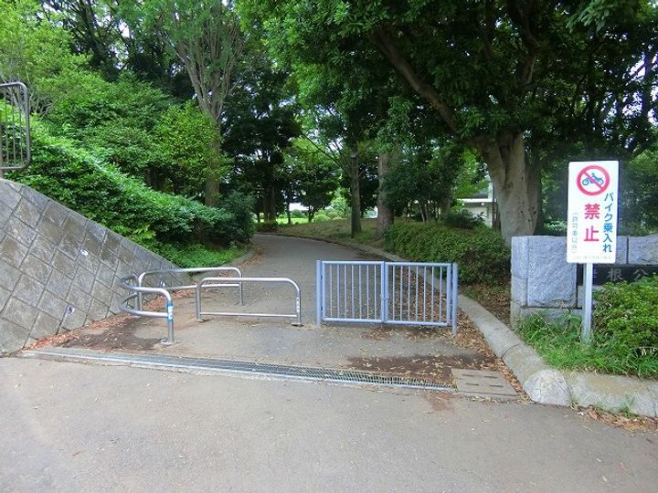 神奈川県横浜市港北区篠原町の賃貸アパートの周辺