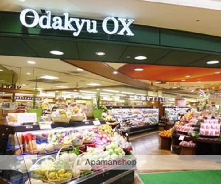 神奈川県大和市中央林間1丁目の賃貸アパートの周辺