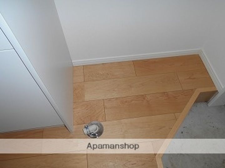 神奈川県川崎市幸区中幸町2丁目の賃貸アパートの内装