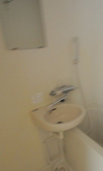 レオネクスト英のその他画像