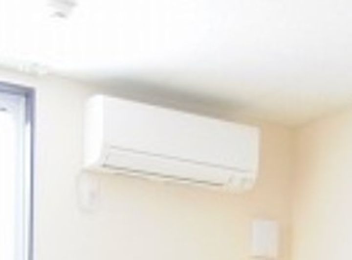 レオネクスト英のその他画像