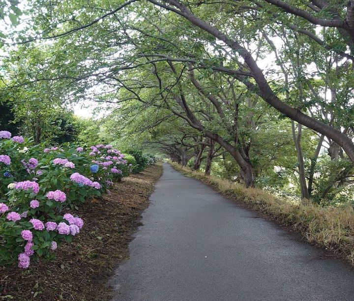 レオパレスサンロードの周辺