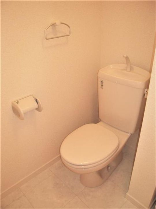 ステラ星川のその他画像