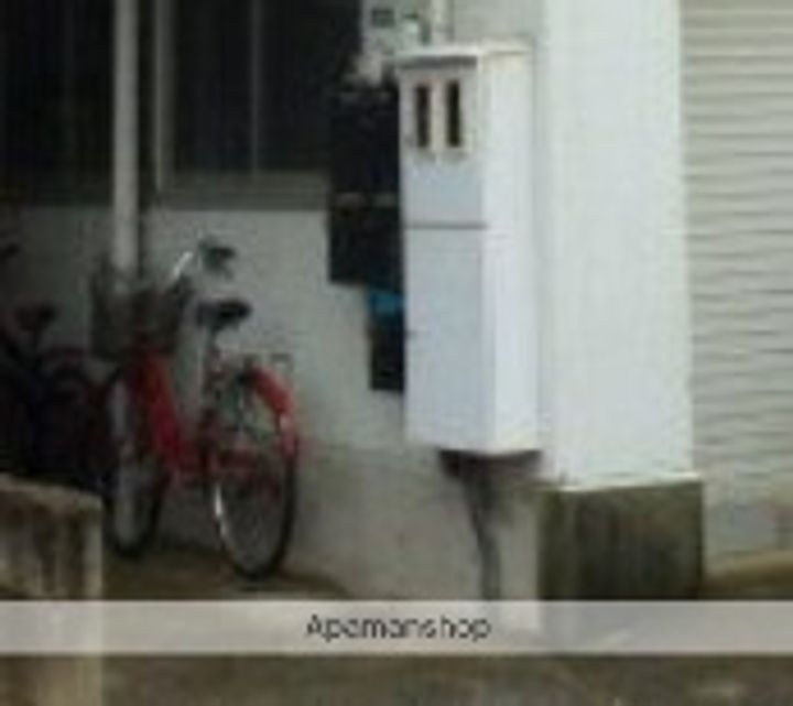 ハイムオオヤマのその他画像