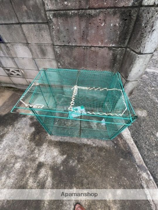 REGALOのその他画像