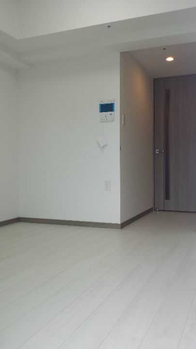 神奈川県川崎市幸区南幸町1丁目の賃貸マンションの居間