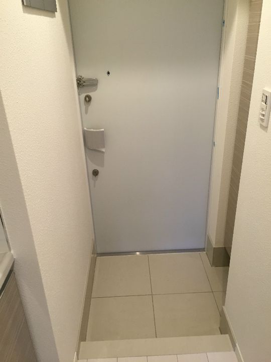 神奈川県川崎市幸区南幸町3丁目の賃貸マンションの玄関
