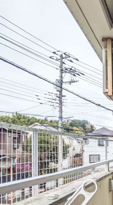 神奈川県川崎市麻生区細山6丁目の賃貸マンションのその他画像