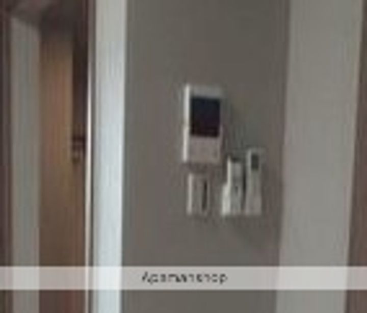 RISE KOYABEのその他画像