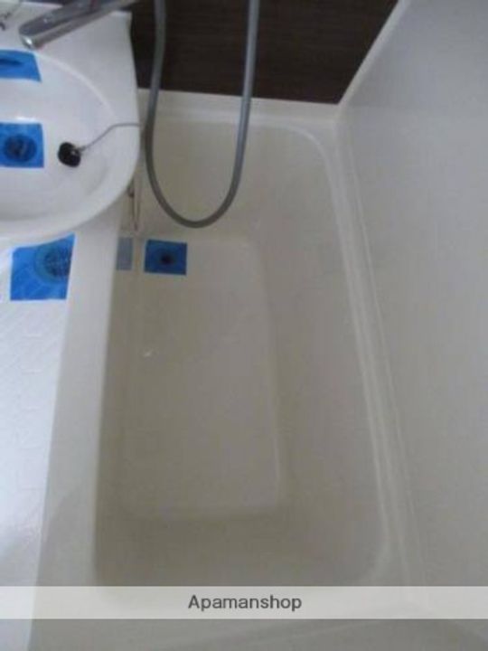 メゾン・ド・セヴェールNO.2の風呂