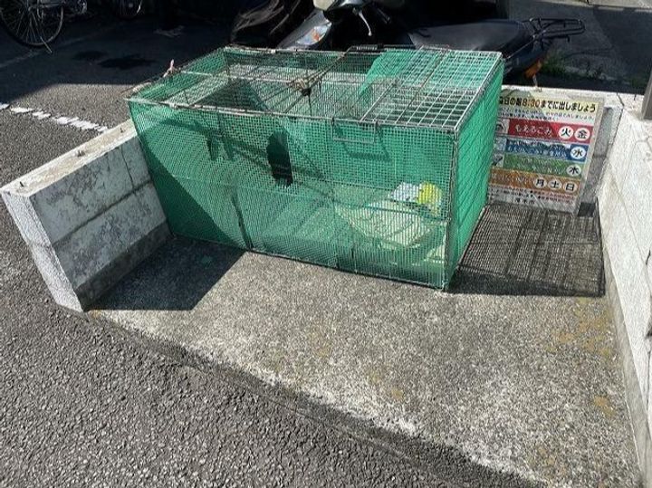 エクセレントⅡの外観