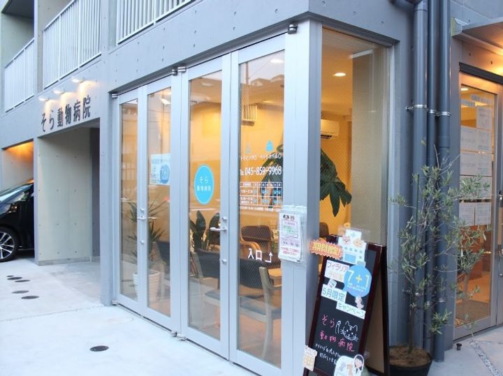 スタークレストの周辺