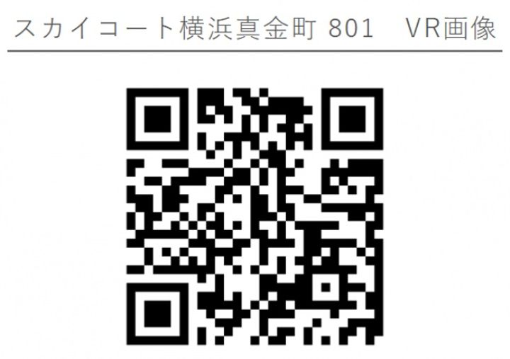 スカイコート横浜真金町801号室の内装