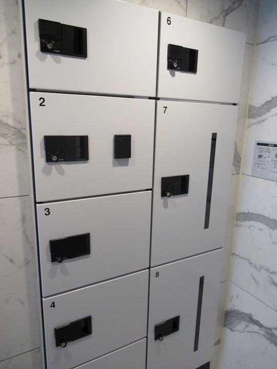 神奈川県横浜市南区共進町3丁目の賃貸マンションのその他画像