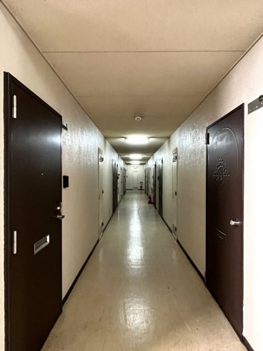 神奈川県相模原市南区上鶴間本町3丁目の賃貸マンションのその他画像