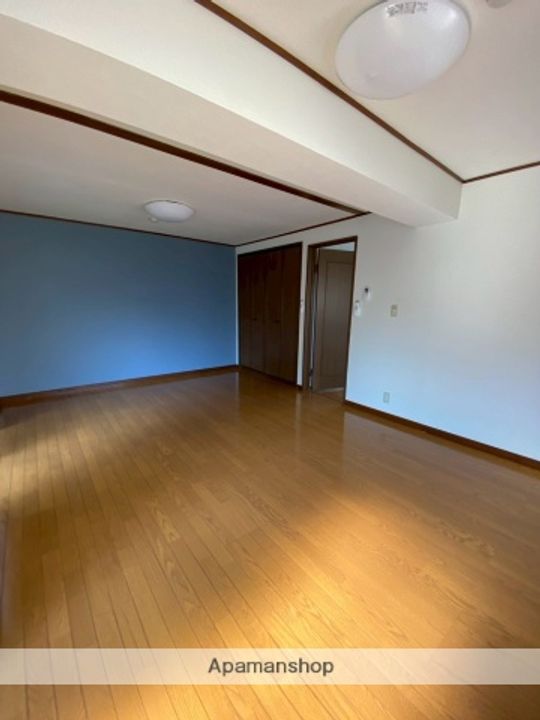神奈川県伊勢原市伊勢原4丁目の賃貸マンションの内装