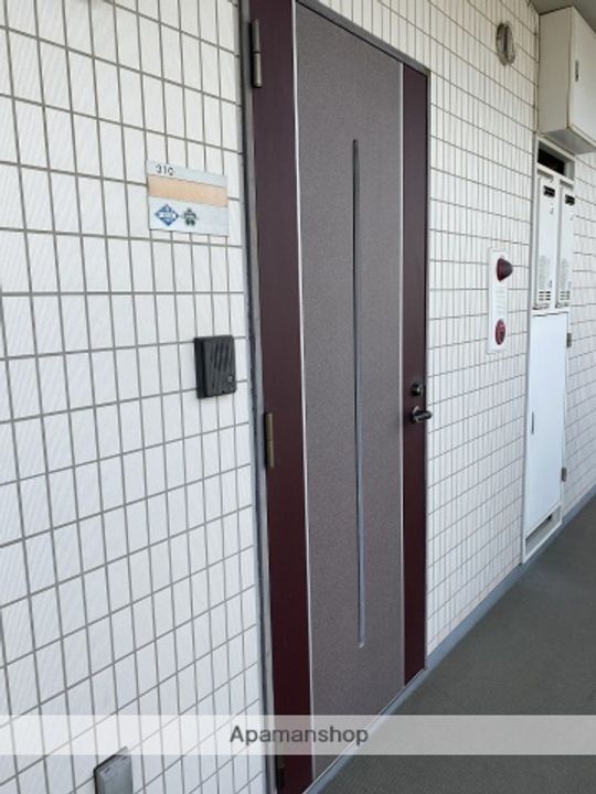 神奈川県小田原市下新田の賃貸マンションの外観