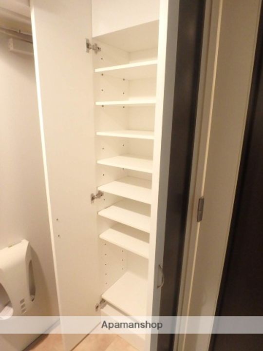 神奈川県藤沢市高倉の賃貸マンションの内装