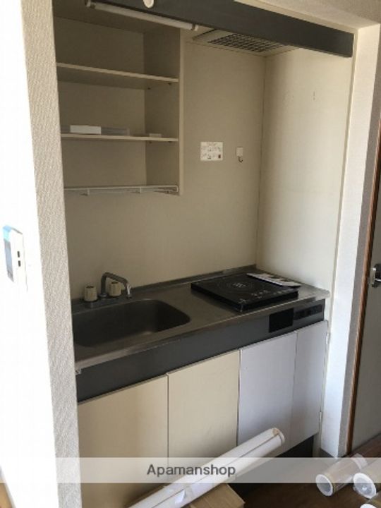 神奈川県厚木市愛甲東1丁目の賃貸マンションのキッチン