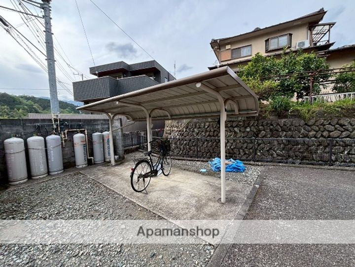 カワセミのその他画像