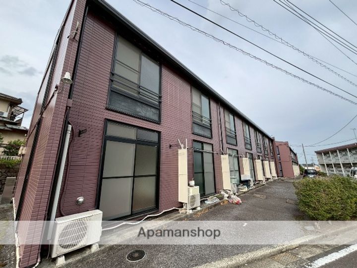 カワセミの外観