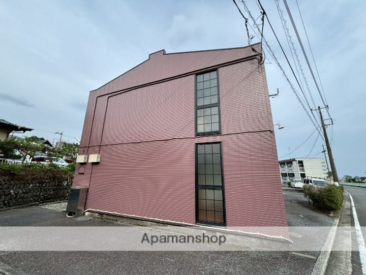 カワセミの外観