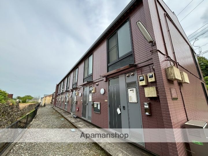 カワセミの外観