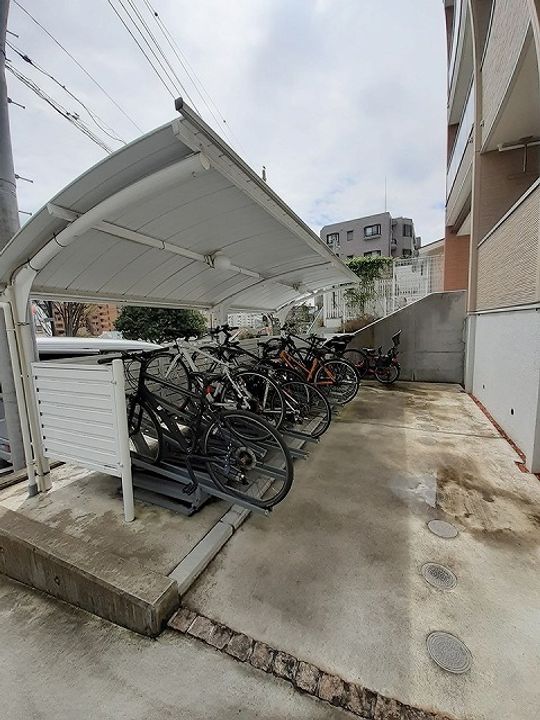 マイリーのその他画像