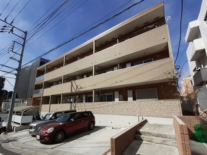 マイリーのその他画像