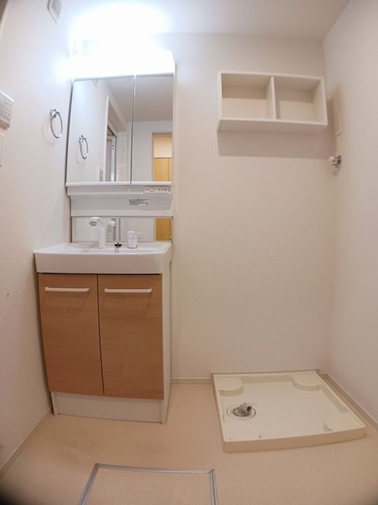 マイリーのその他画像