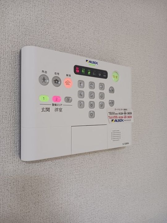 マイリーのその他画像