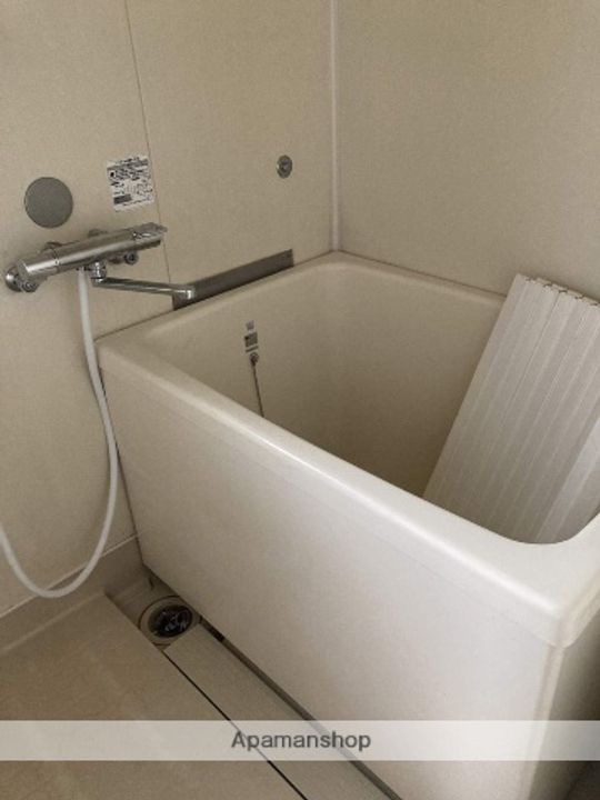 神奈川県伊勢原市池端の賃貸アパートの風呂