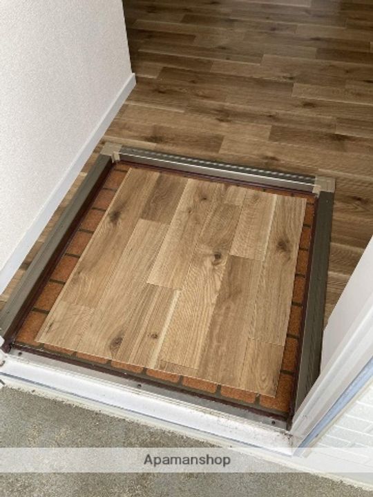 神奈川県伊勢原市池端の賃貸アパートの玄関