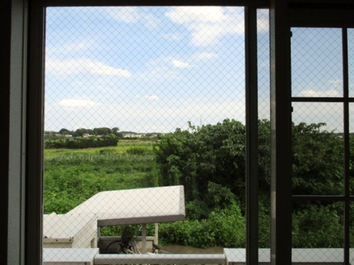 ヴィオラAのその他画像