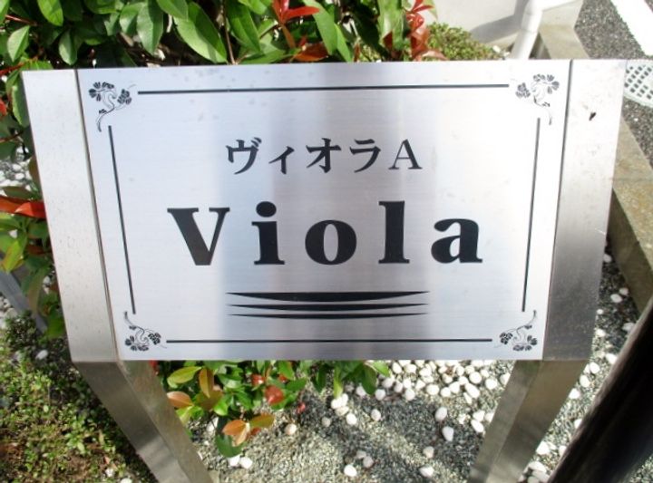 ヴィオラAのその他画像