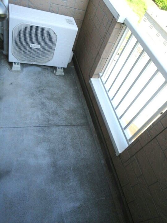 ヴィオラAのその他画像