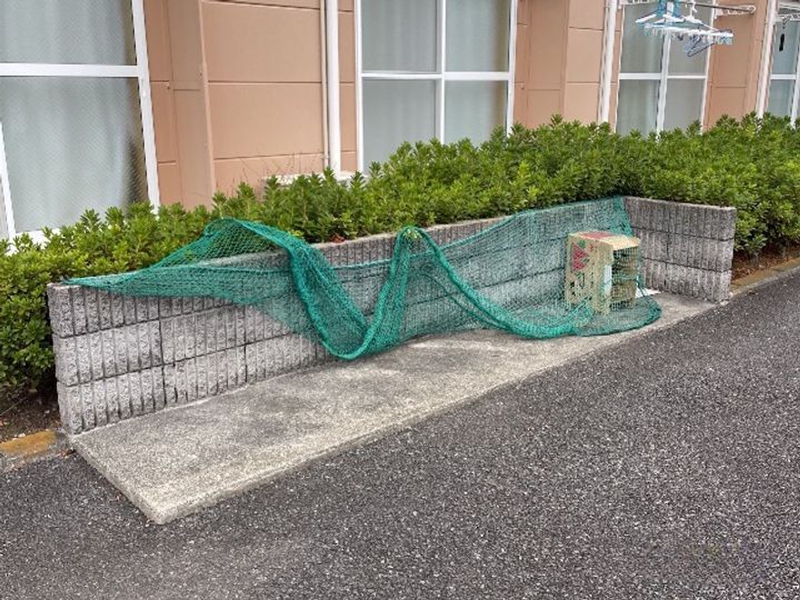 レオパレスカサデリベルタのその他画像