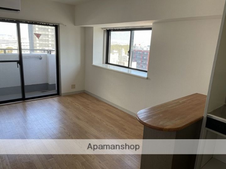 ライオンズプラザ平塚の内装